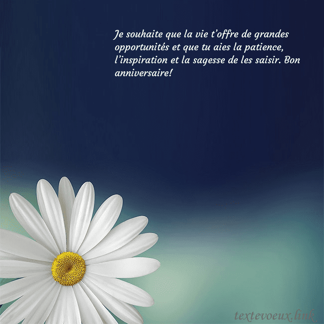 Carte postale avec une grande marguerite