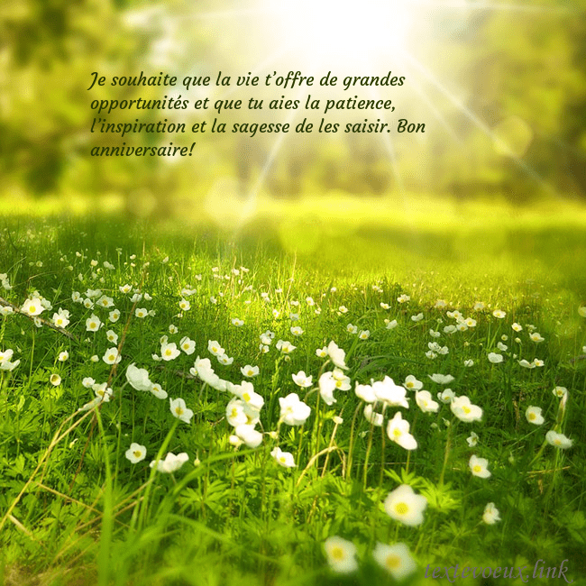 Carte électronique avec soleil et prairie