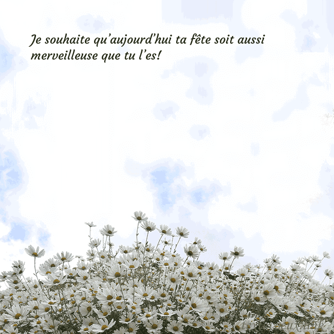 Carte de voeux avec marguerites