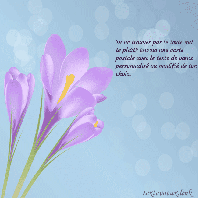 Cartes de vœux avec crocus