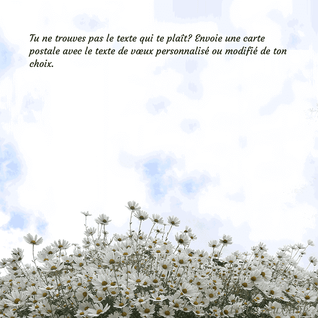 Carte de voeux avec marguerites