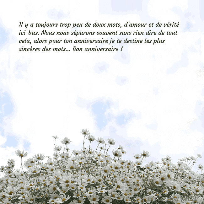 Carte de voeux avec marguerites