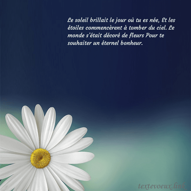 Carte postale avec une grande marguerite