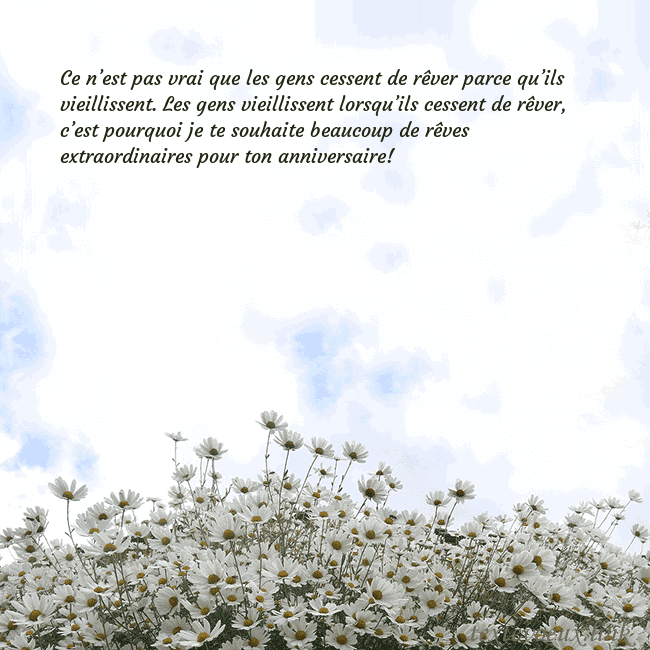 Carte de voeux avec marguerites