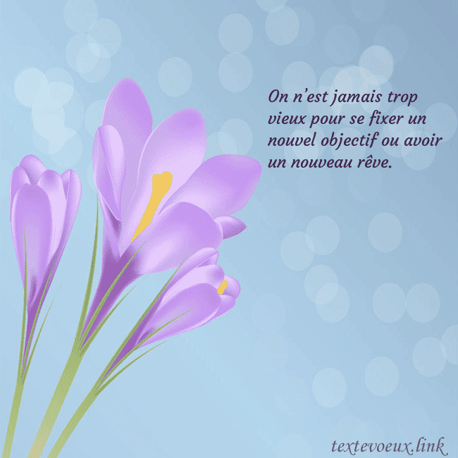 Cartes de vœux avec crocus