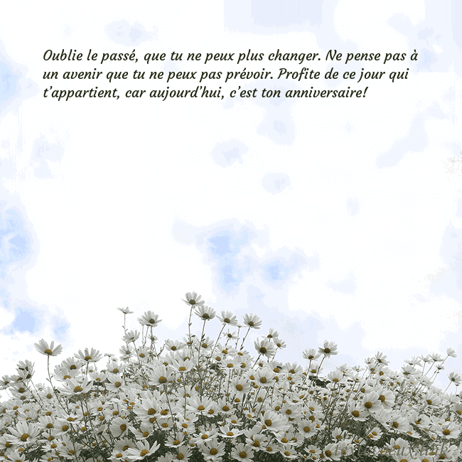 Carte de voeux avec marguerites