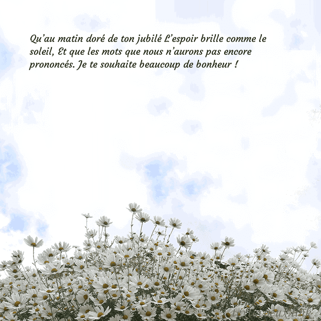 Carte de voeux avec marguerites