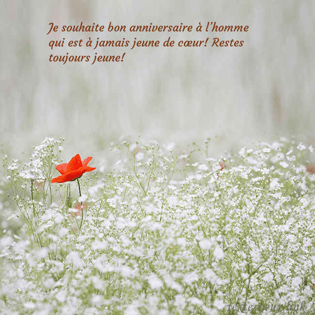 Carte électronique à fleurs blanches