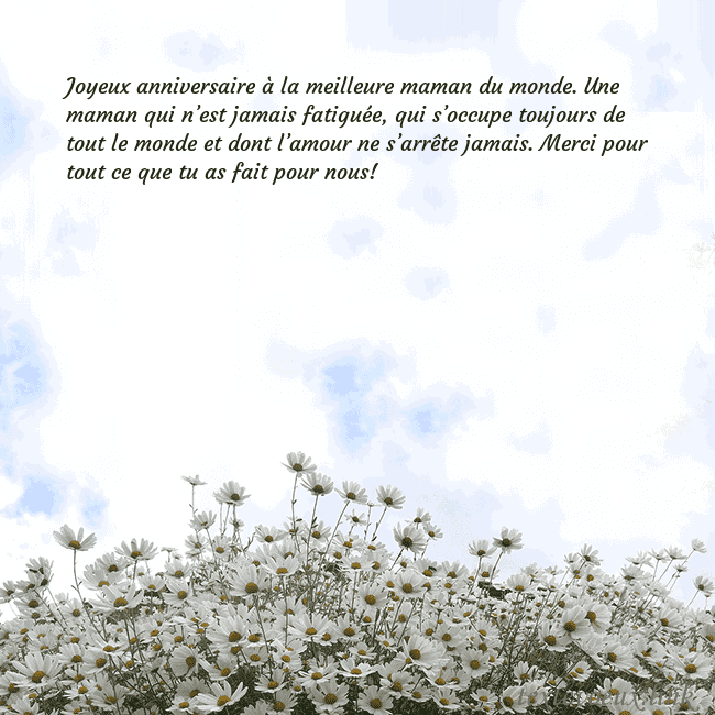 Carte de voeux avec marguerites