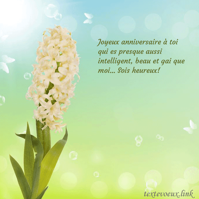 Cartes de vœux avec jacinthe