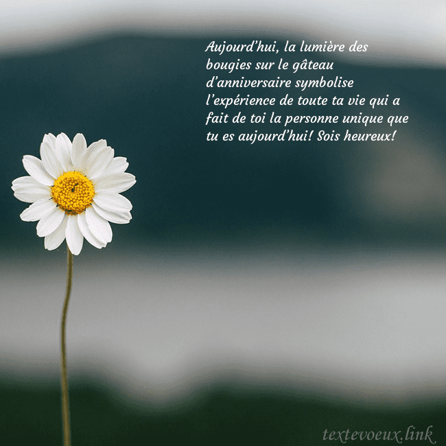 E-carte avec marguerite