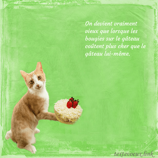 Carte d'anniversaire avec chat et gâteau