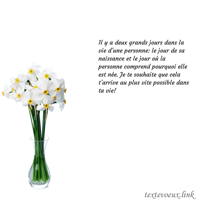 Carte de vœux avec des jonquilles
