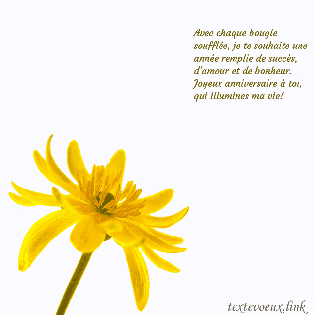Carte de voeux avec fleur jaune
