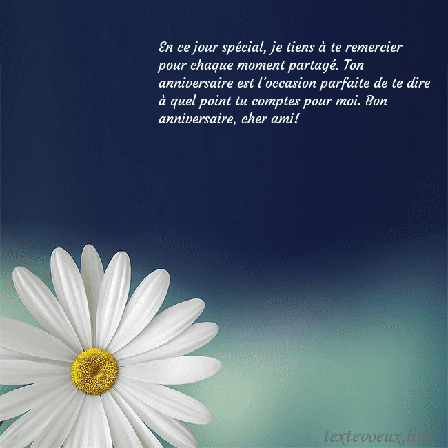 Carte postale avec une grande marguerite