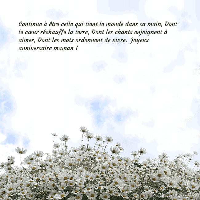 Carte de voeux avec marguerites