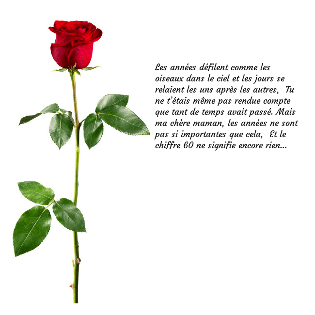 Carte de vœux avec une rose rouge