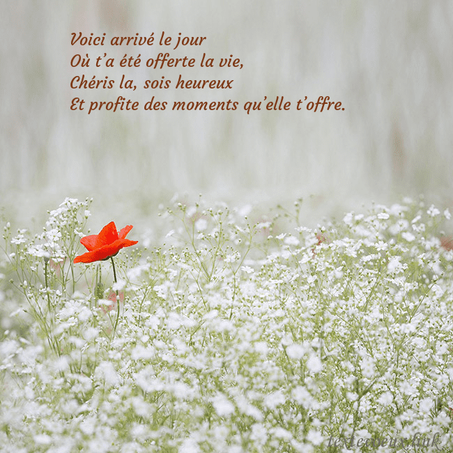 Carte électronique à fleurs blanches