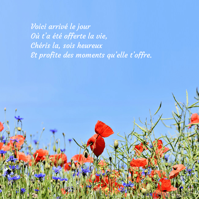 Carte d'anniversaire avec des coquelicots