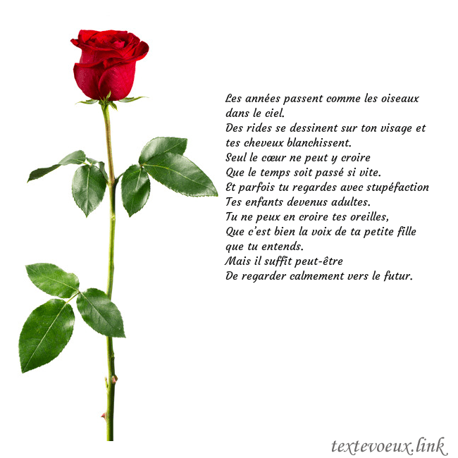 Carte de vœux avec une rose rouge