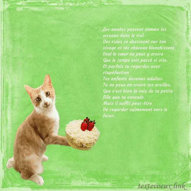 Carte d'anniversaire avec chat et gâteau Les années passent comme les oiseaux dans le ciel. Carte d'anniversaire avec chat et gâteau