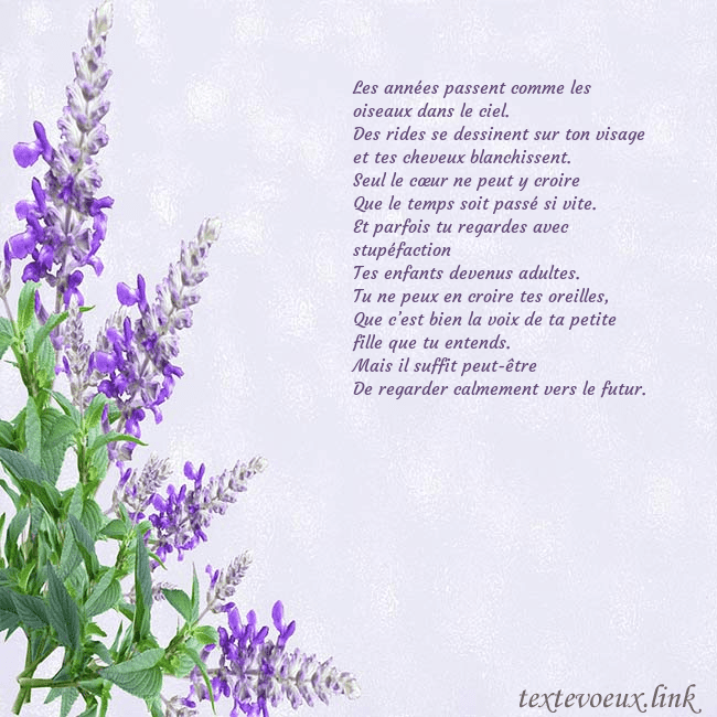 Carte d'anniversaire avec des lupins Les années passent comme les oiseaux dans le ciel. Carte d'anniversaire avec des lupins