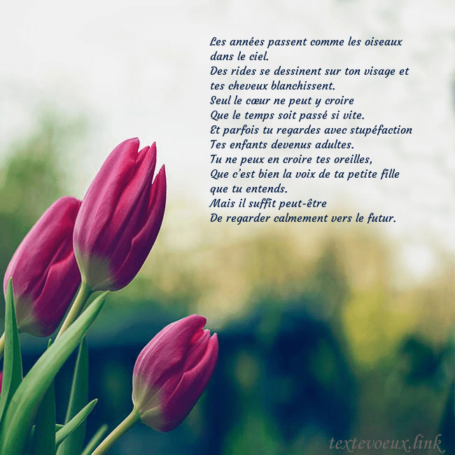 Carte d'anniversaire avec trois tulipes rouges Les années passent comme les oiseaux dans le ciel. Carte d'anniversaire avec trois tulipes rouges