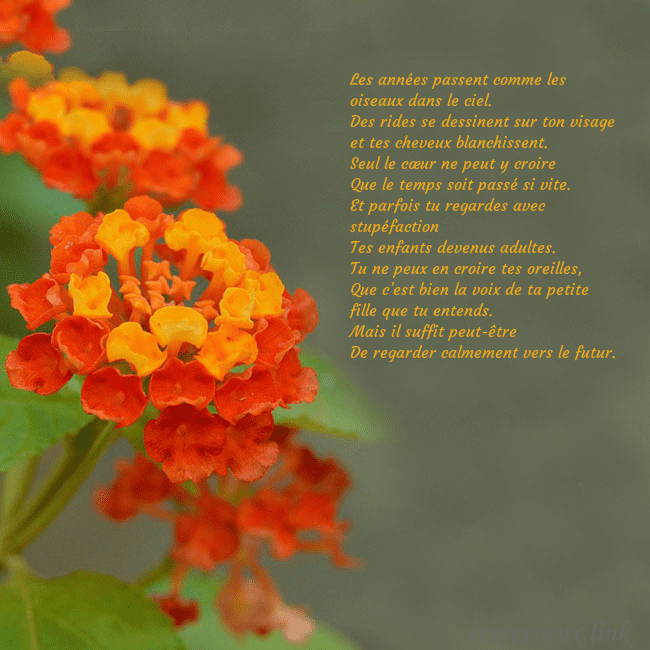 Carte d'anniversaire avec des fleurs oranges Les années passent comme les oiseaux dans le ciel. Carte d'anniversaire avec des fleurs oranges