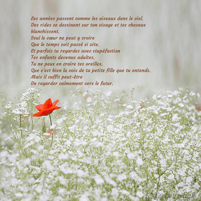 Carte électronique à fleurs blanches Les années passent comme les oiseaux dans le ciel. Carte électronique à fleurs blanches