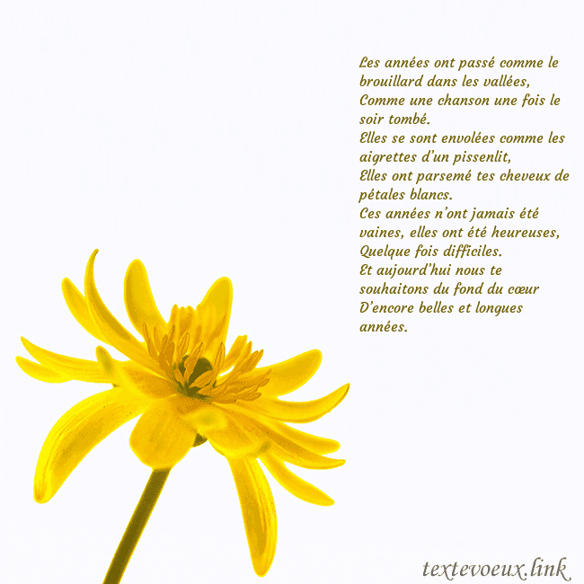 Carte de voeux avec fleur jaune Les années ont passé comme le brouillard dans les Carte de voeux avec fleur jaune