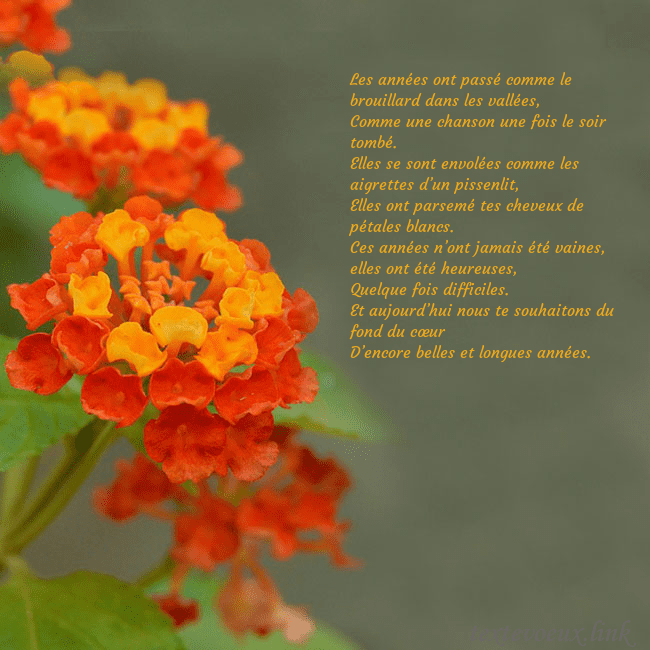 Carte d'anniversaire avec des fleurs oranges Les années ont passé comme le brouillard dans les Carte d'anniversaire avec des fleurs oranges