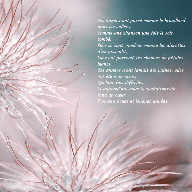 Carte postale avec des plantes duveteuses Les années ont passé comme le brouillard dans les Carte postale avec des plantes duveteuses
