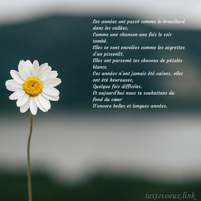 E-carte avec marguerite Les années ont passé comme le brouillard dans les E-carte avec marguerite