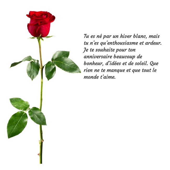 Carte de vœux avec une rose rouge