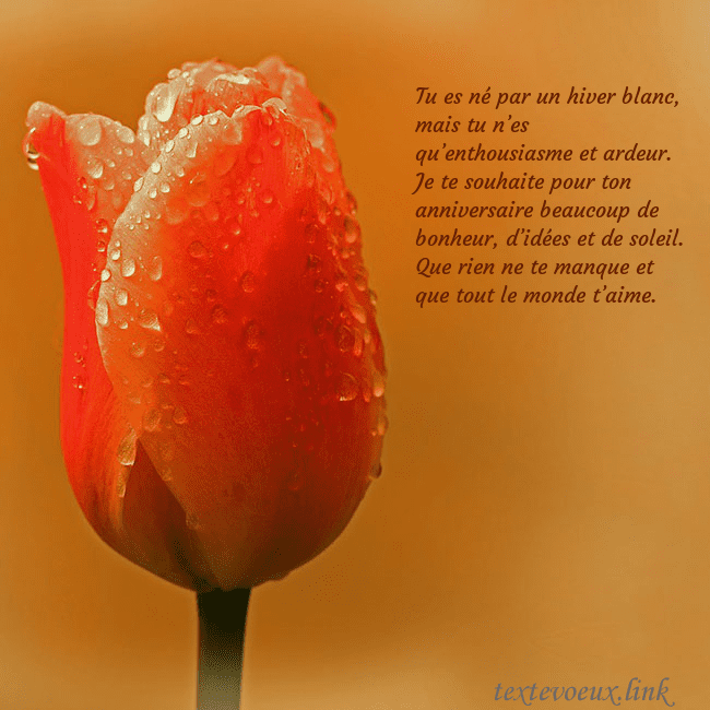 Carte de voeux avec tulipe rouge