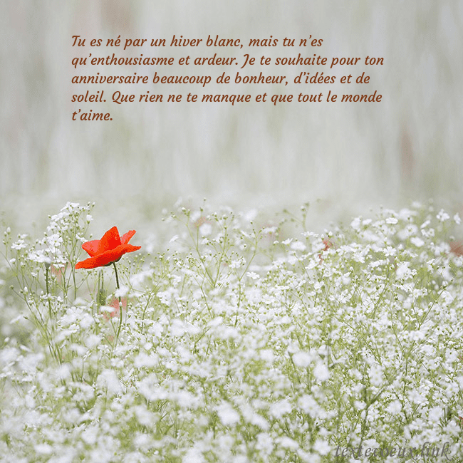 Carte électronique à fleurs blanches