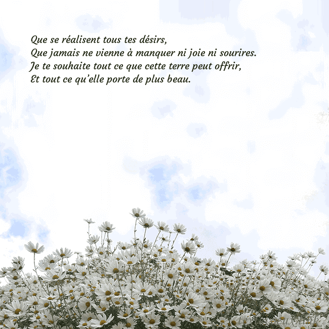 Carte de voeux avec marguerites