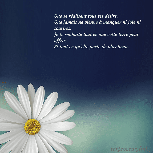Carte postale avec une grande marguerite