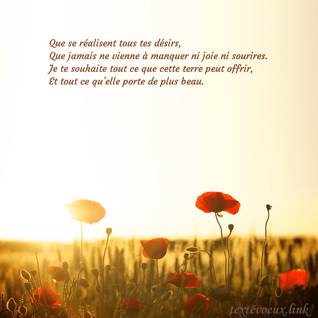 Carte postale électronique avec soleil et champ de coquelicots