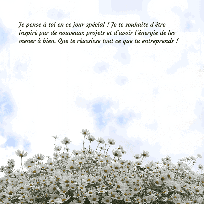 Carte de voeux avec marguerites