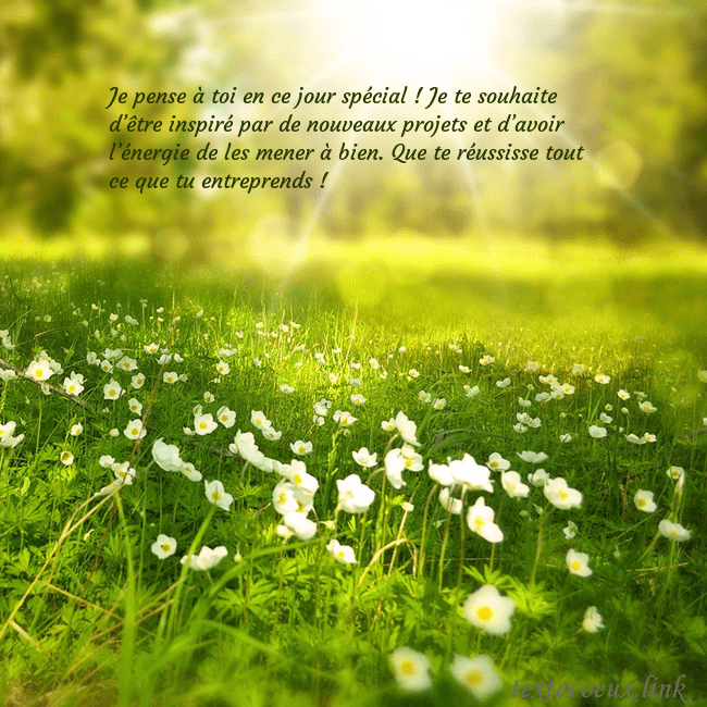 Carte électronique avec soleil et prairie