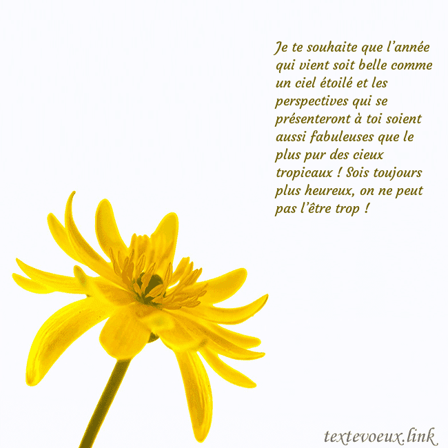 Carte de voeux avec fleur jaune