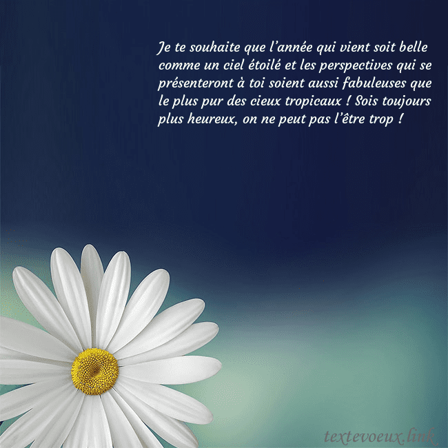 Carte postale avec une grande marguerite