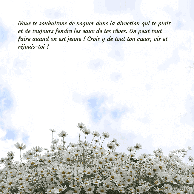Carte de voeux avec marguerites