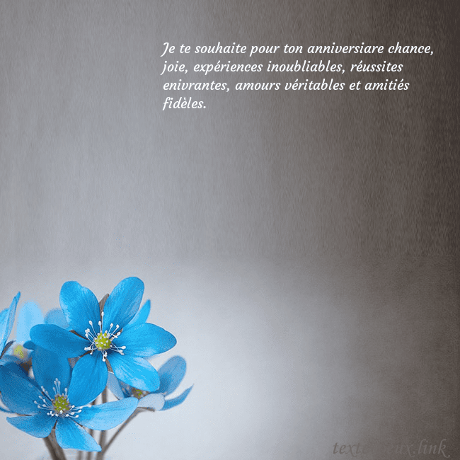 Carte postale avec violettes