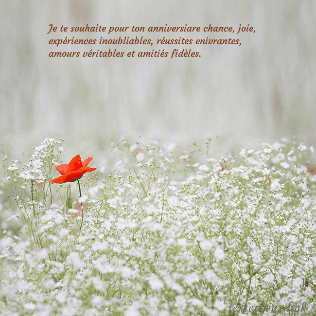 Carte électronique à fleurs blanches