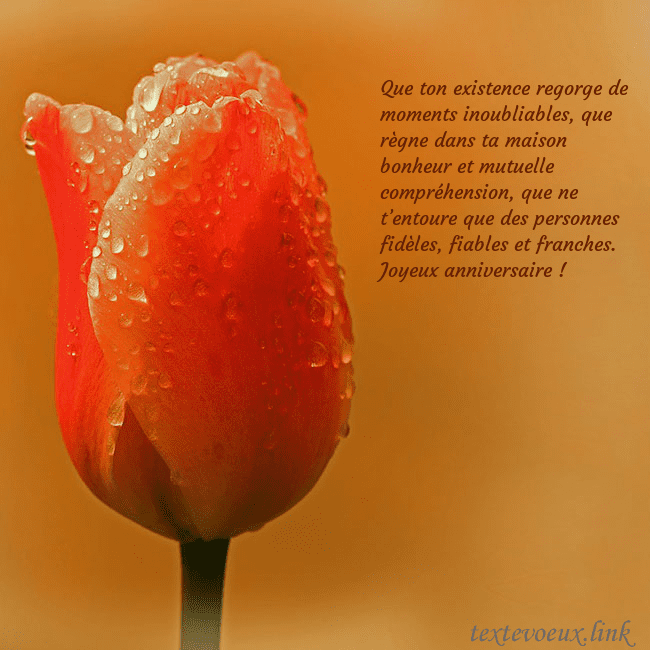 Carte de voeux avec tulipe rouge