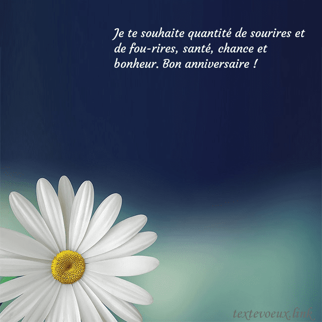 Carte postale avec une grande marguerite