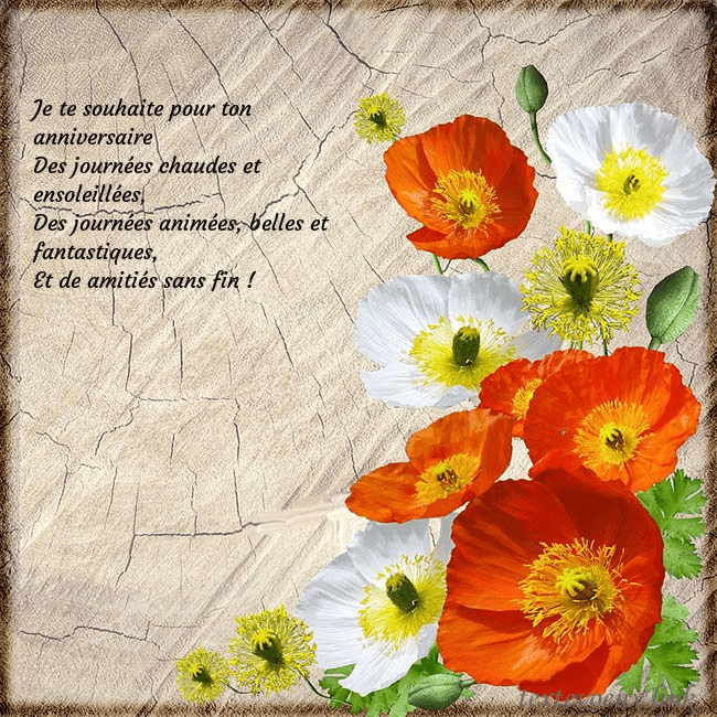 Carte d'anniversaire avec des coquelicots