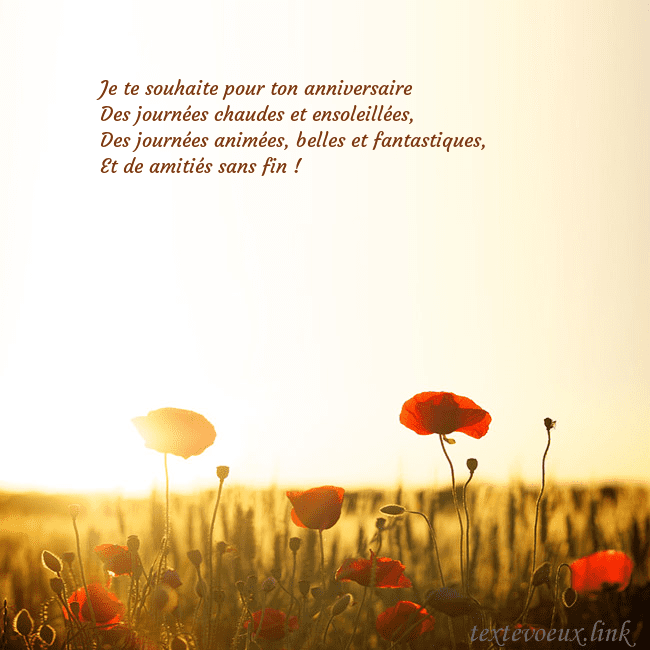Carte postale électronique avec soleil et champ de coquelicots